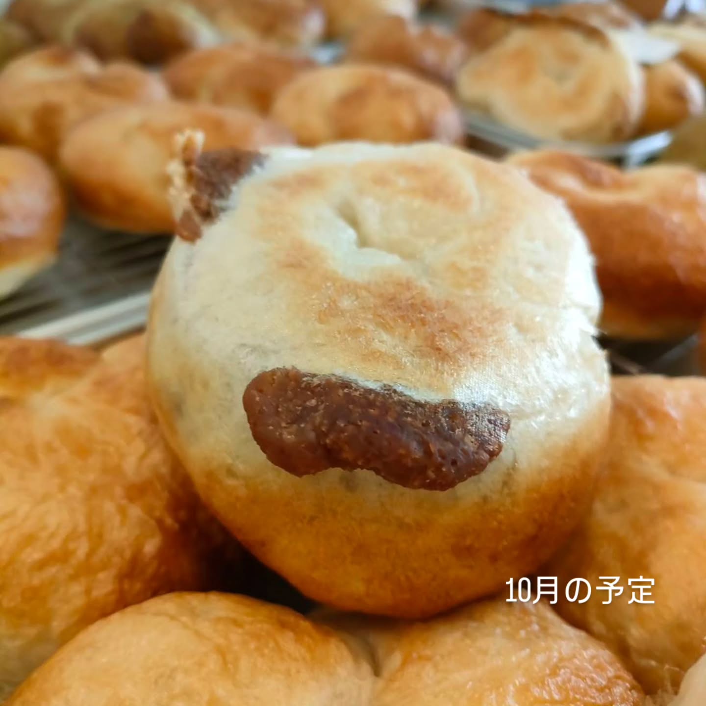 公式Instagramの10月予定投稿に掲載された、焼き上がったベーグル